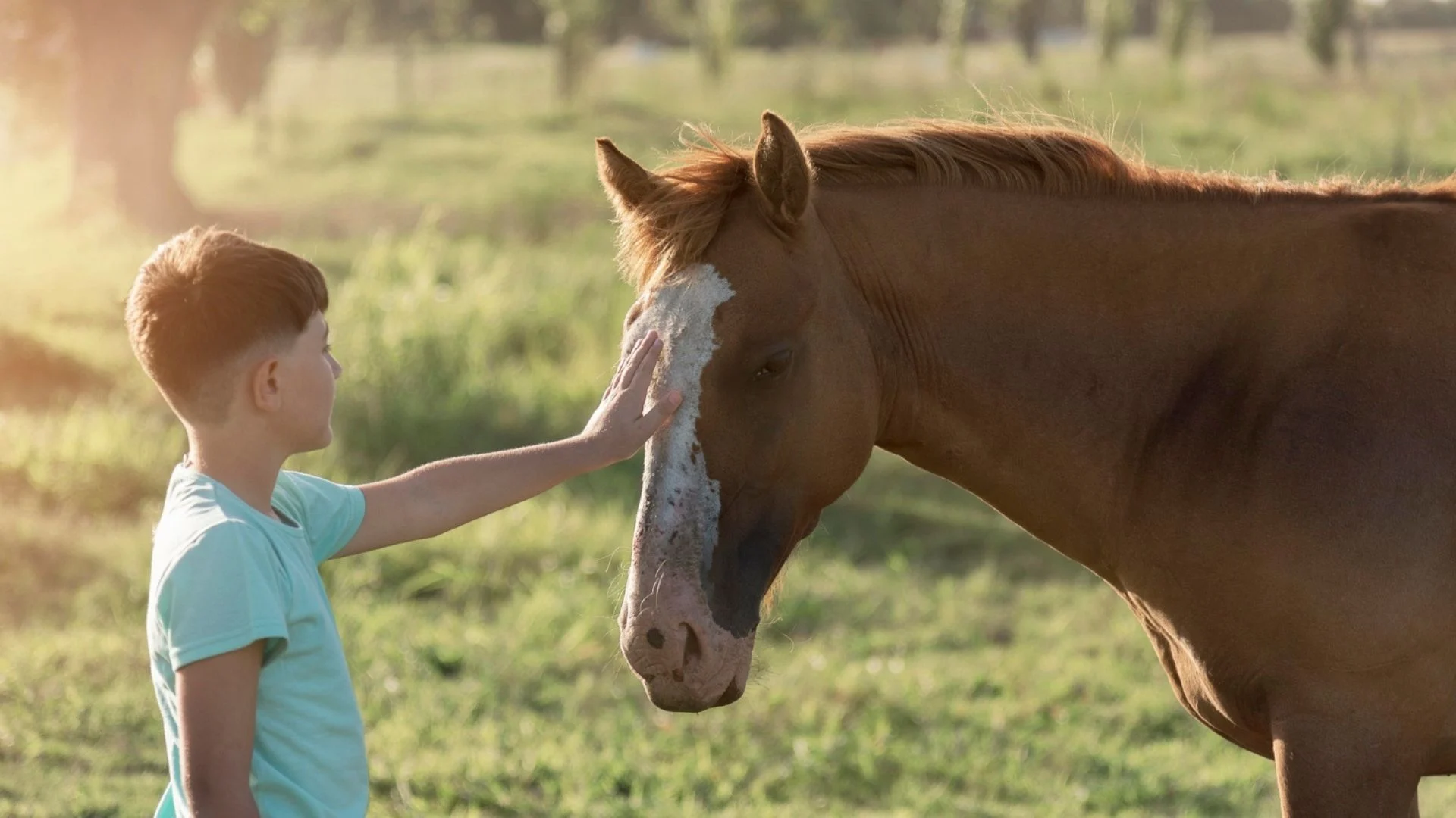 Garoto acariciando um cavalo